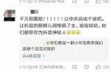 快男抖阴猫咪：揭秘网络热门视频背后的趣味与文化