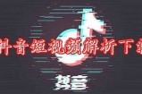 朝阳视频：完美解析安卓抖阴的使用技巧与体验
