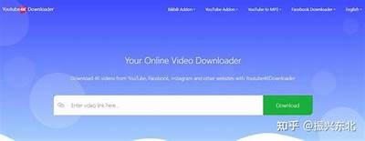 iOS版抖音视频破解版下载，全新体验与功能介绍！