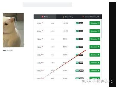 如何快速获取抖阴下载验证码，轻松解决登录难题