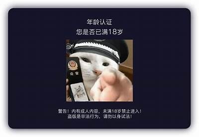 抖音非必抖阴：揭秘最热视频和创作技巧，助你轻松涨粉