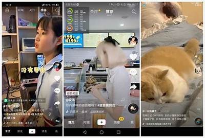 破解抖音小技巧：轻松提高视频曝光率的秘诀分享